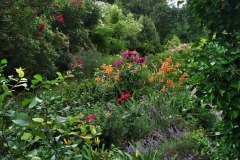 IMG_20210707_195356