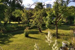 IMG_20210712_180253