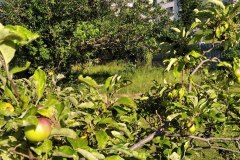 IMG_20210712_180316